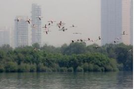 Maharashtra completed physical verification of 23,404 wetlands out of 23,415 identified wetlands